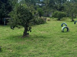 Vendo terreno apto para proyecto: Tumbaco